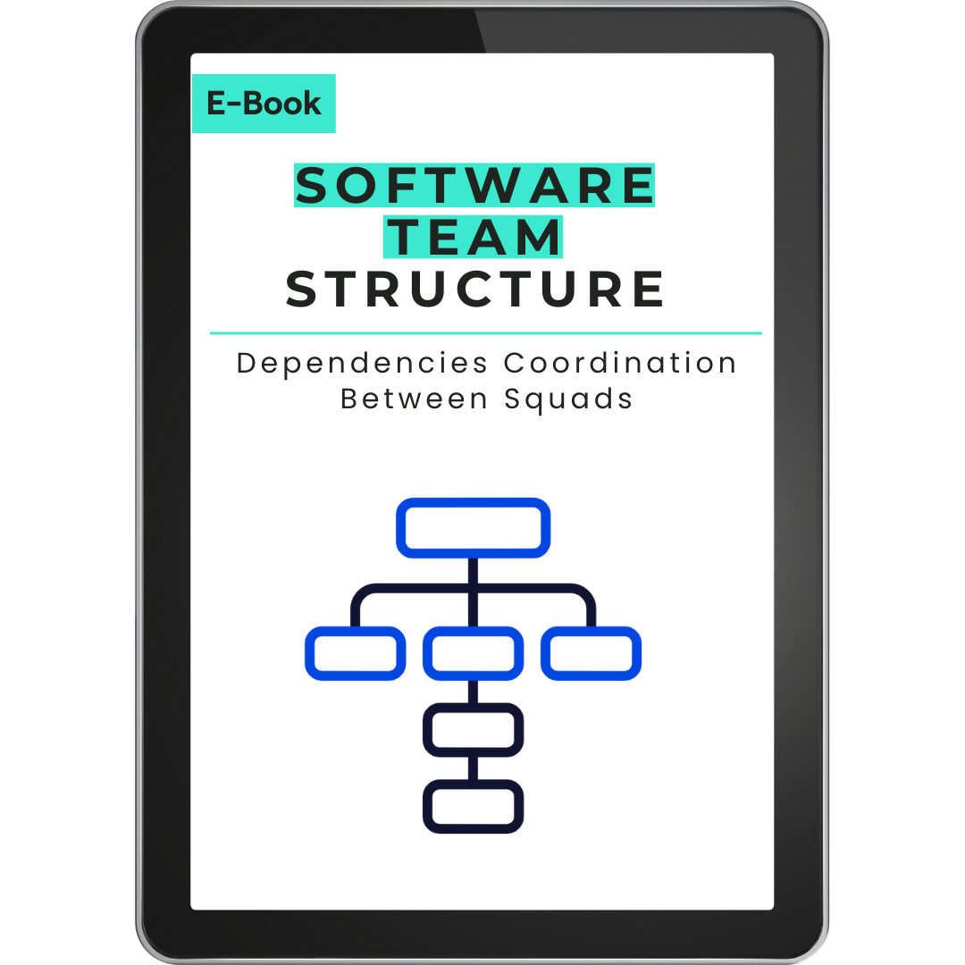 software team structure ebook